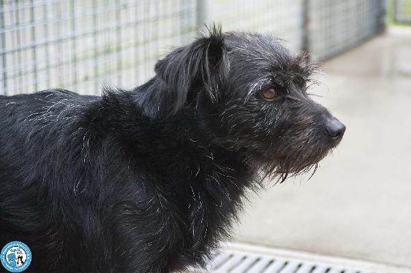 Greta, l’amore vero arriva piano.. Foto 7